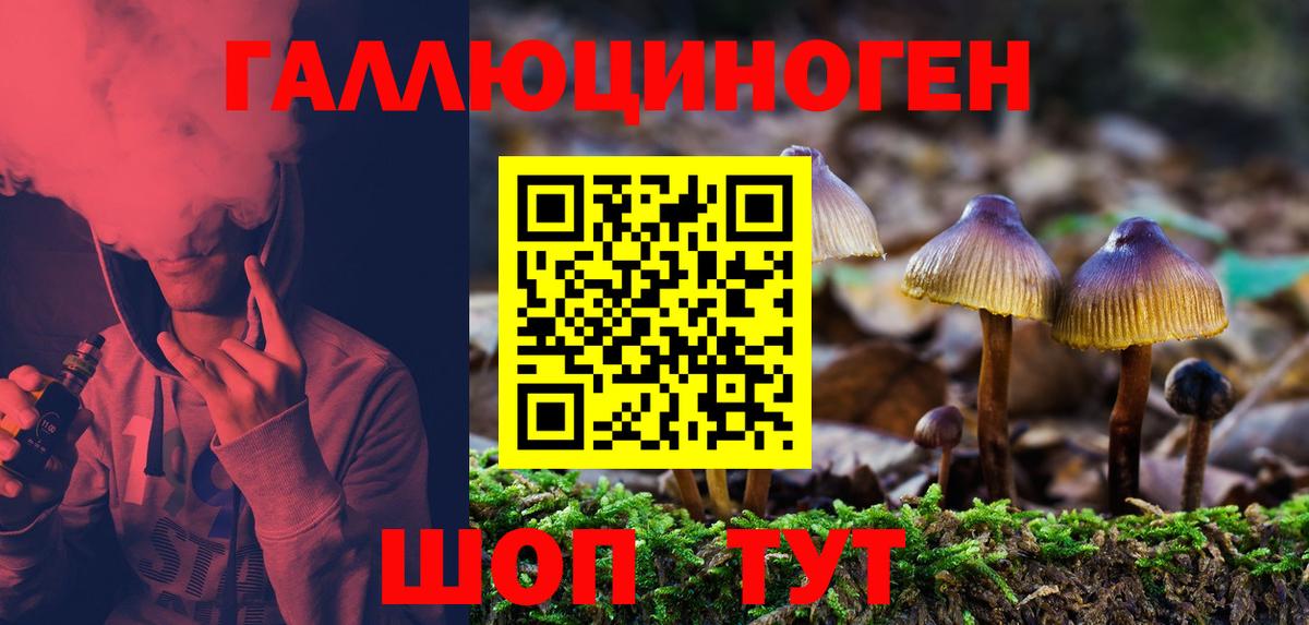 Псилоцибиновые грибы Psilocybine cubensis Ростов-на-Дону